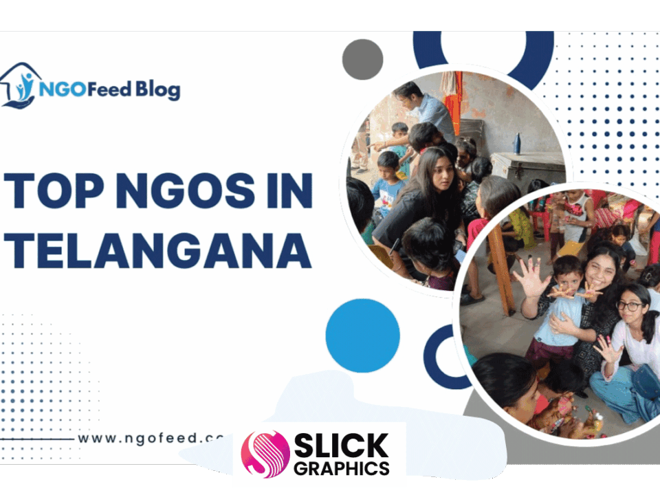 NGO Profile Design & Branding in East Africa (Kampala & Juba)